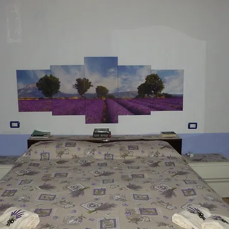 펜션 La Maison Lavande *